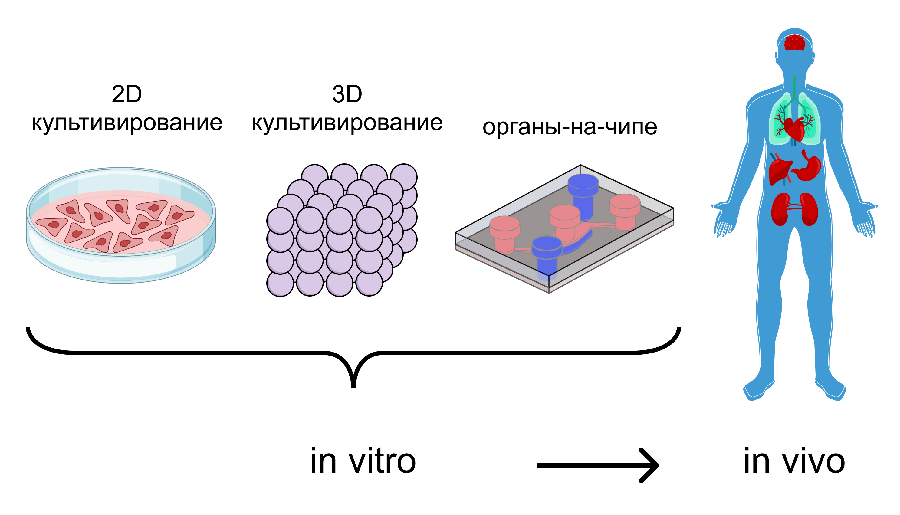 Эмульсия