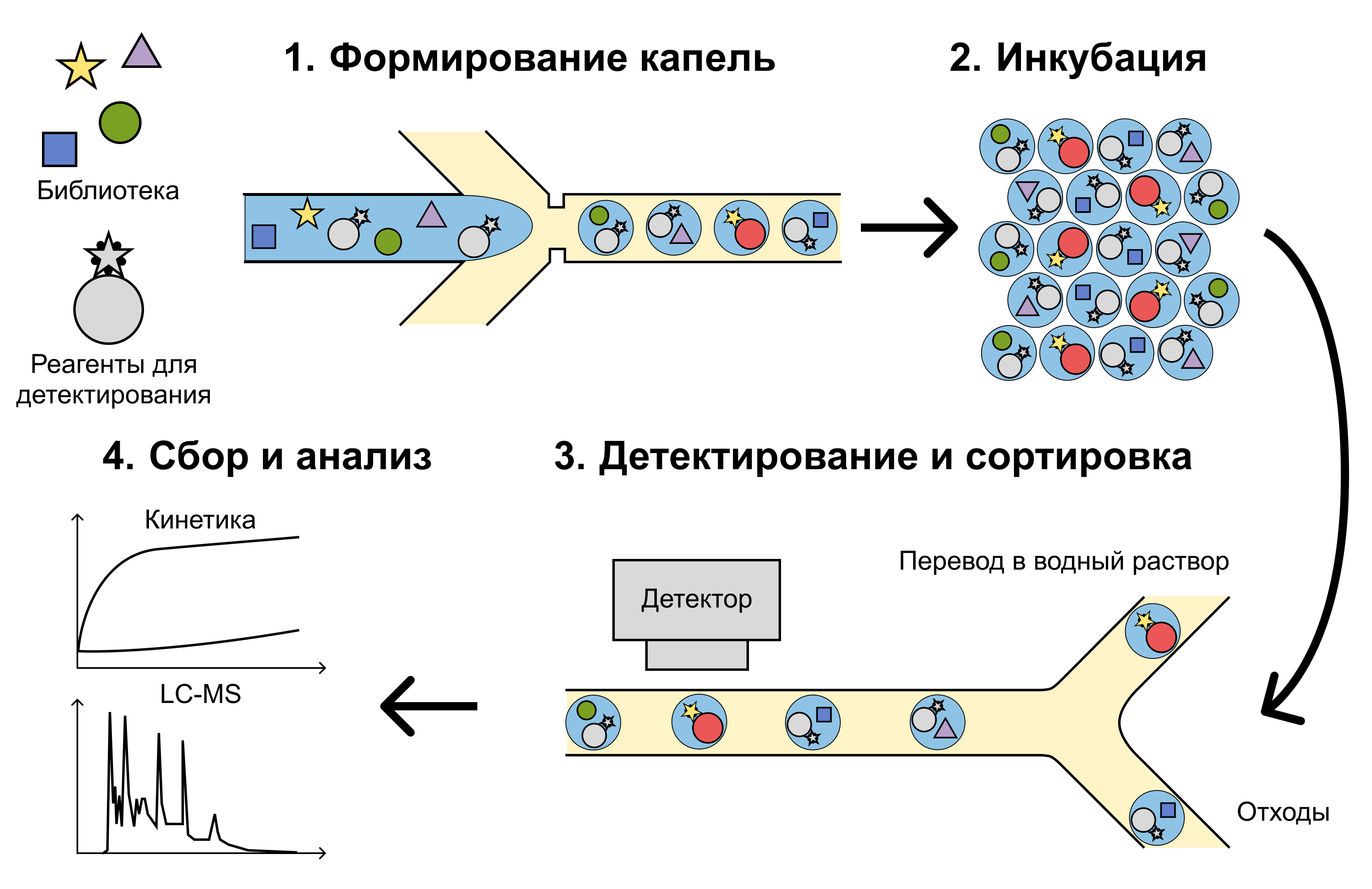 Скрининг молекулярных и клеточных библиотек