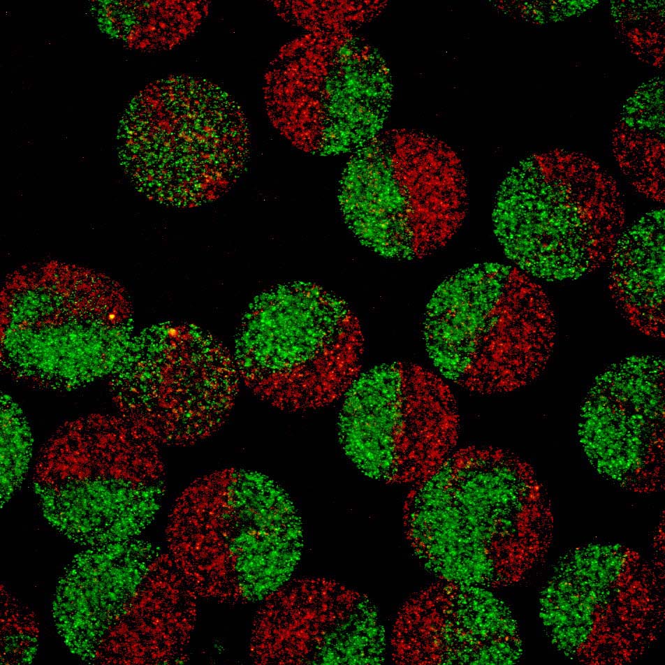 emuls_and_microgels