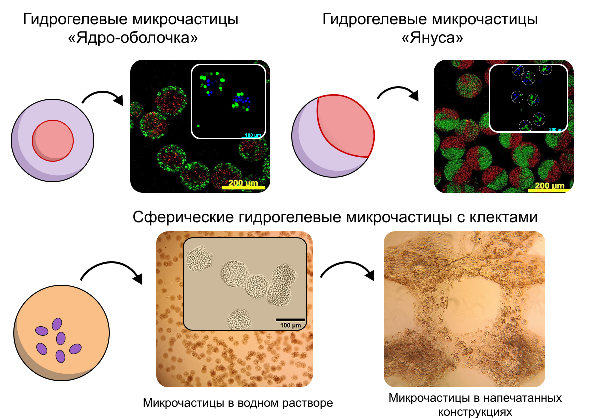 Эмульсия