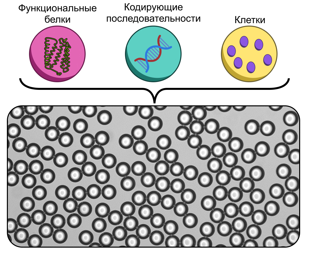 Эмульсия