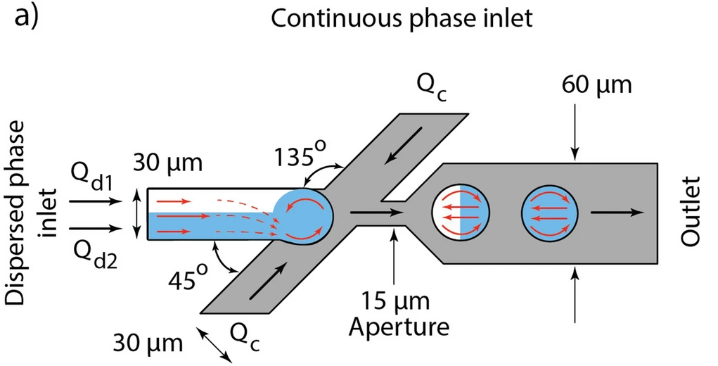 Graphical abstract