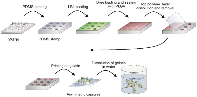 Graphical abstract