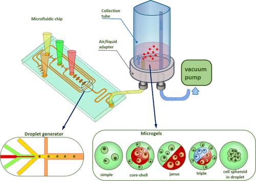 Graphical abstract