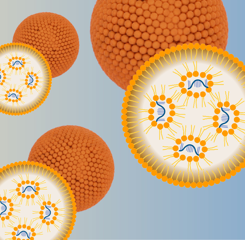 lipid nanoparticles