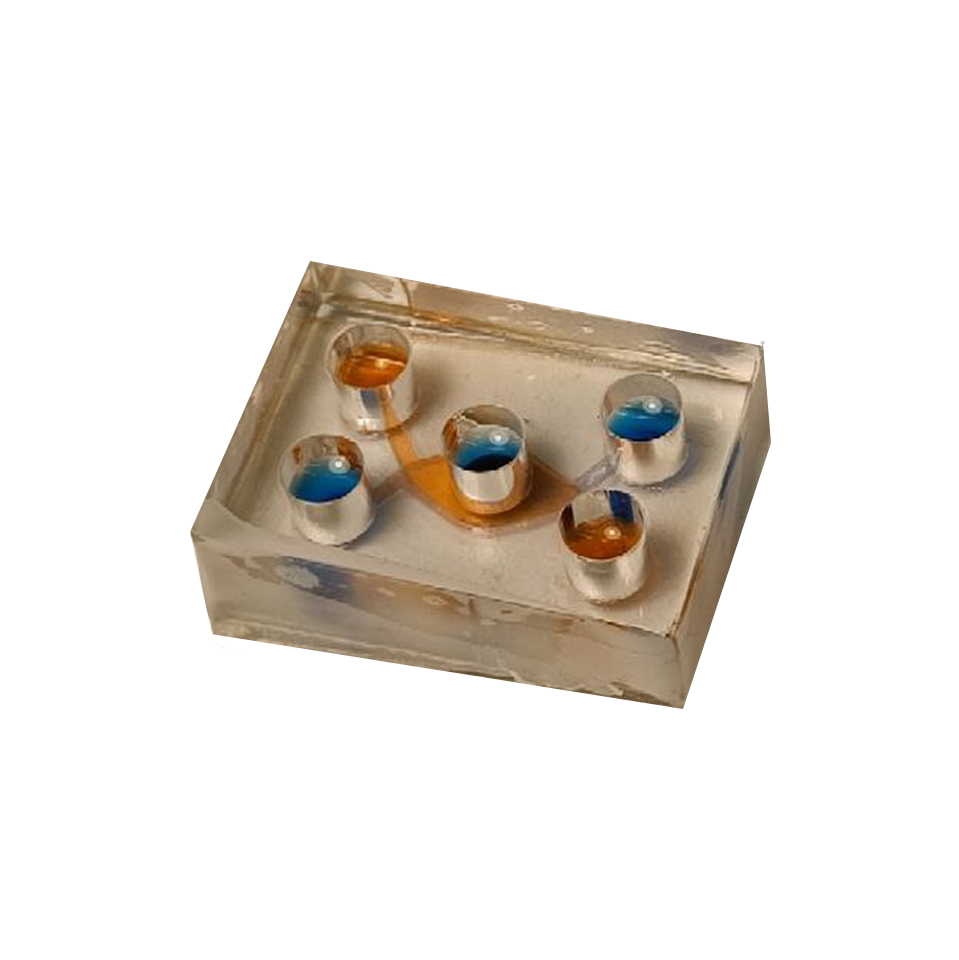 organ-on-chip