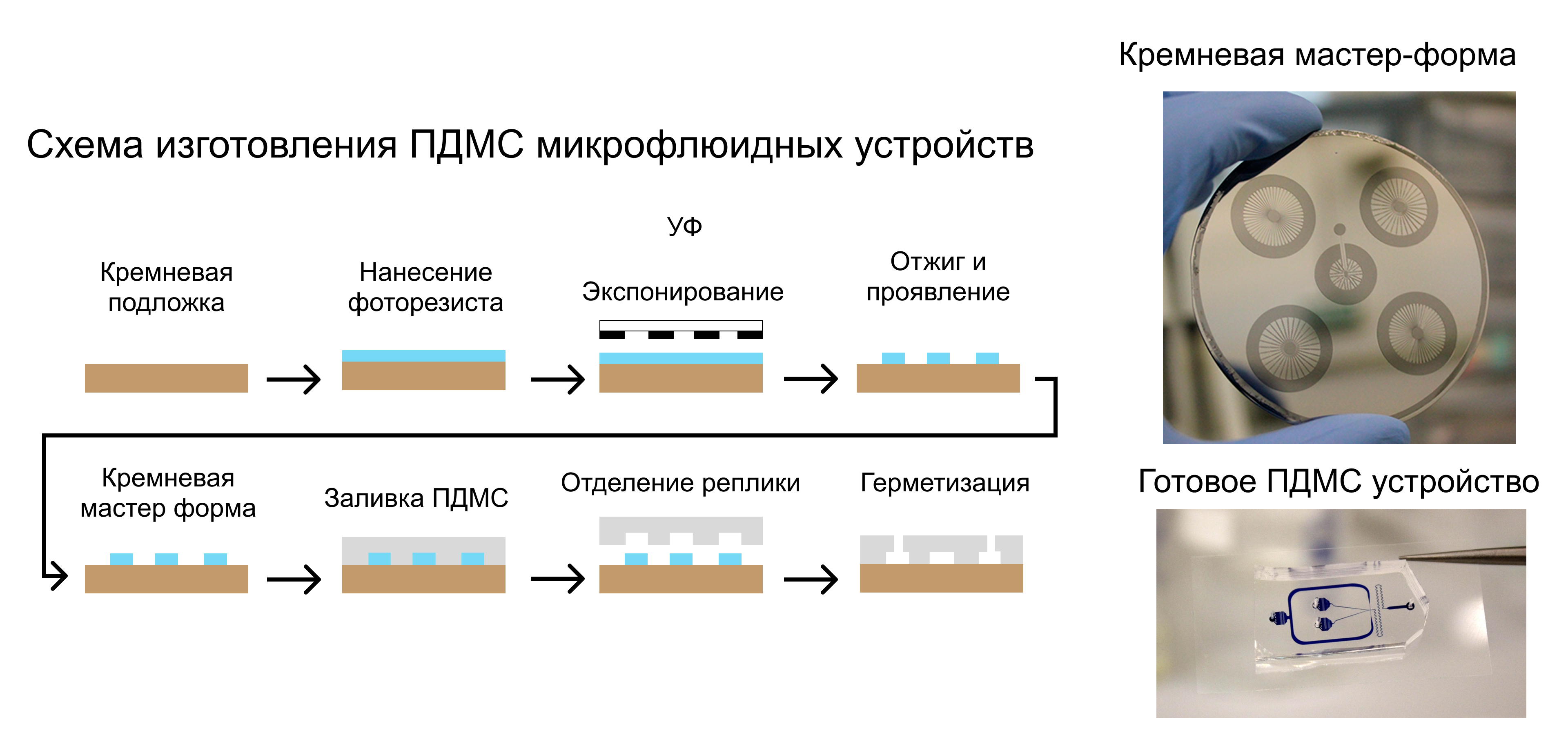 Схема изготовления ПДМС устройства